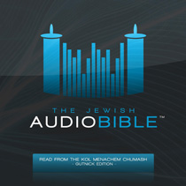 The Jewish<BR>Audio Bible<BR>MP3 DVD